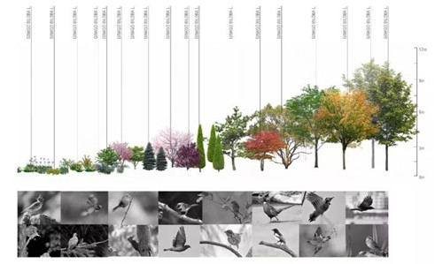 棕櫚股份：貝爾高林——融創?北京壹號院