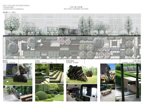 棕櫚股份：貝爾高林——融創?北京壹號院