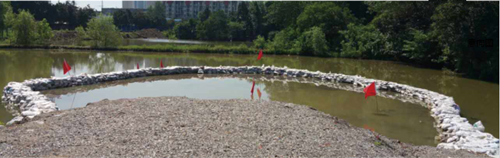 園冶杯專業(yè)獎(jiǎng)：青山區(qū)倒口湖公園景觀設(shè)計(jì)