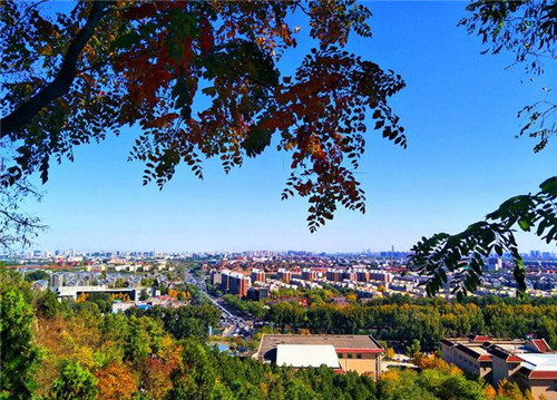 國家森林城市建設樹種選擇將影響生態效果