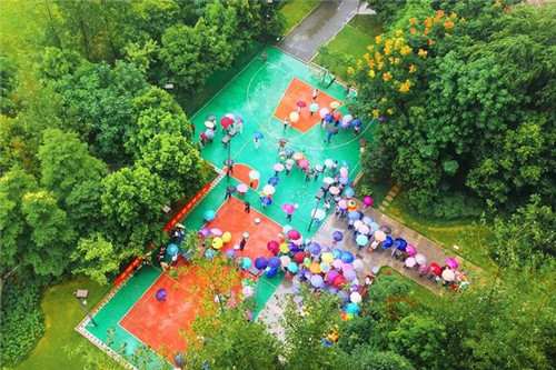 國家森林城市建設樹種選擇將影響生態效果