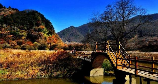 中國最美的六大濕地公園