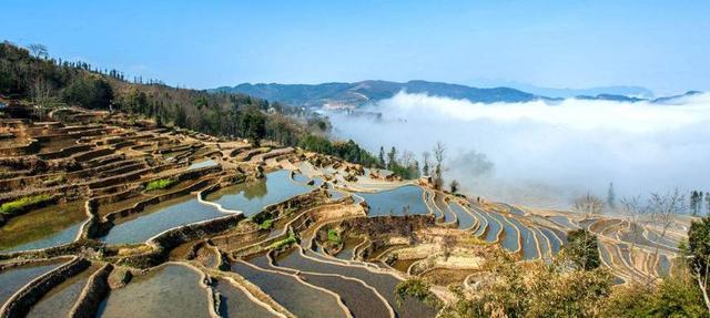 中國最美的六大濕地公園