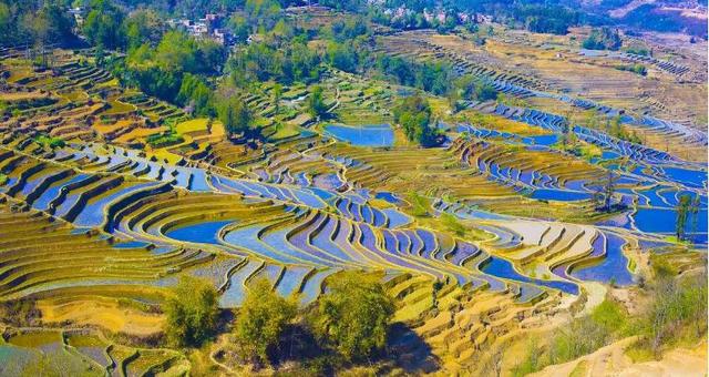 中國最美的六大濕地公園