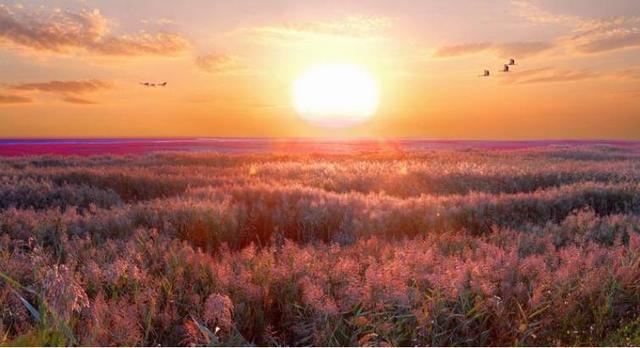 中國最美的六大濕地公園