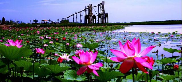 中國最美的六大濕地公園