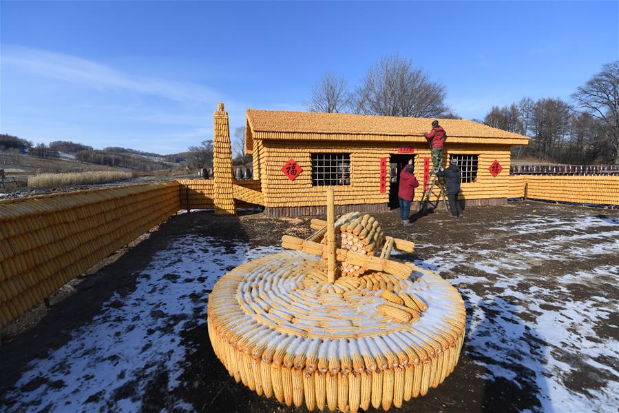 3萬根玉米打造東北農村特色院落景觀