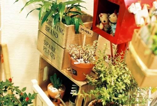 花藝師原來是這樣澆水的,怪不得養那么好!