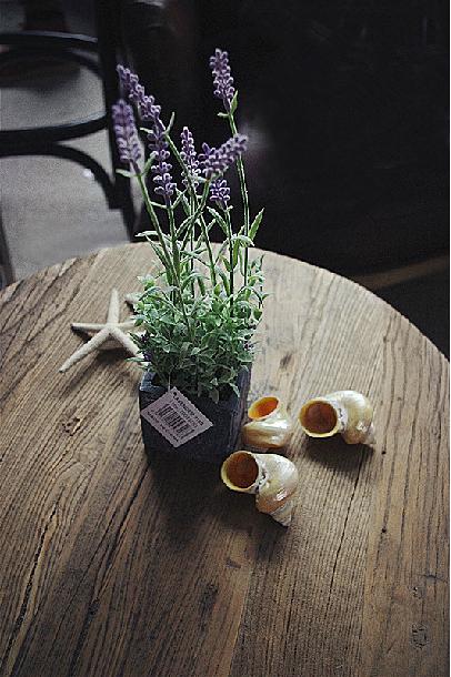 花藝師原來是這樣澆水的,怪不得養那么好!