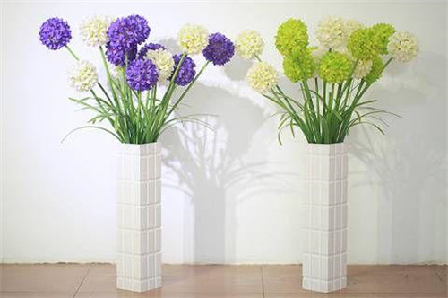 家居花藝風水你留意了嗎