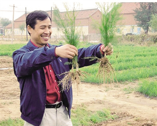 提高植物免疫力，植物少得病