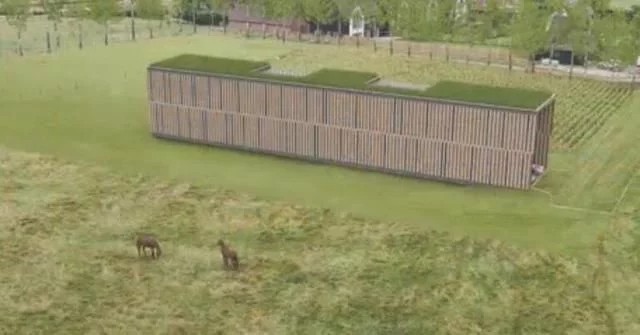 內部高十米 帶草坪屋頂和室內花園的別墅