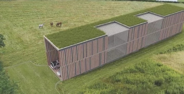 內部高十米 帶草坪屋頂和室內花園的別墅