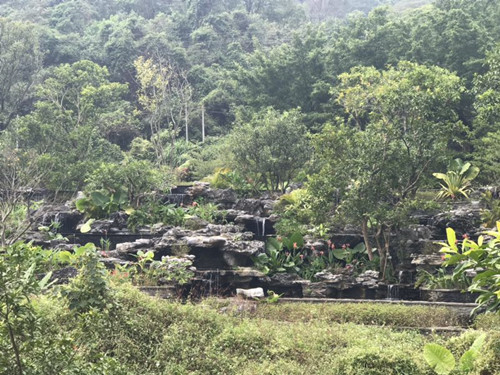 2017園冶杯專業獎現場評審報道（廣東站）