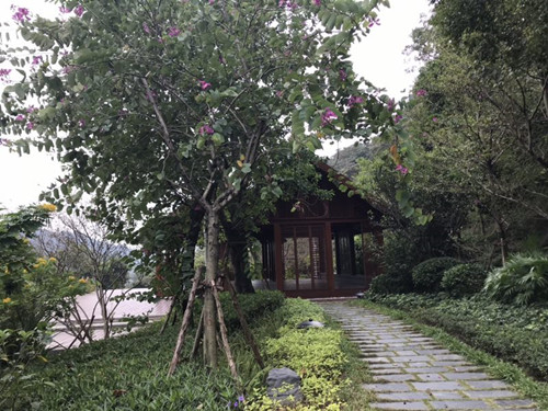 2017園冶杯專業獎現場評審報道（廣東站）