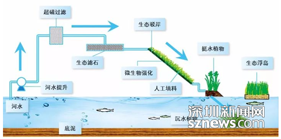 中國生態文明論壇惠州年會召開 鐵漢生態承辦