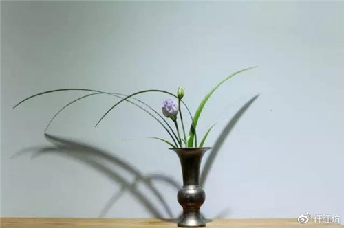 茶道，缺少插花不成雅致