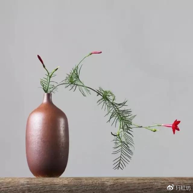 茶道，缺少插花不成雅致