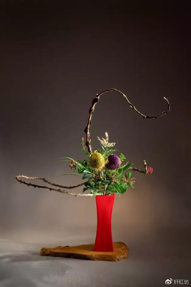 茶道，缺少插花不成雅致