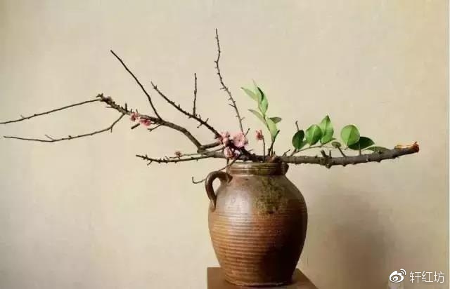 茶道，缺少插花不成雅致