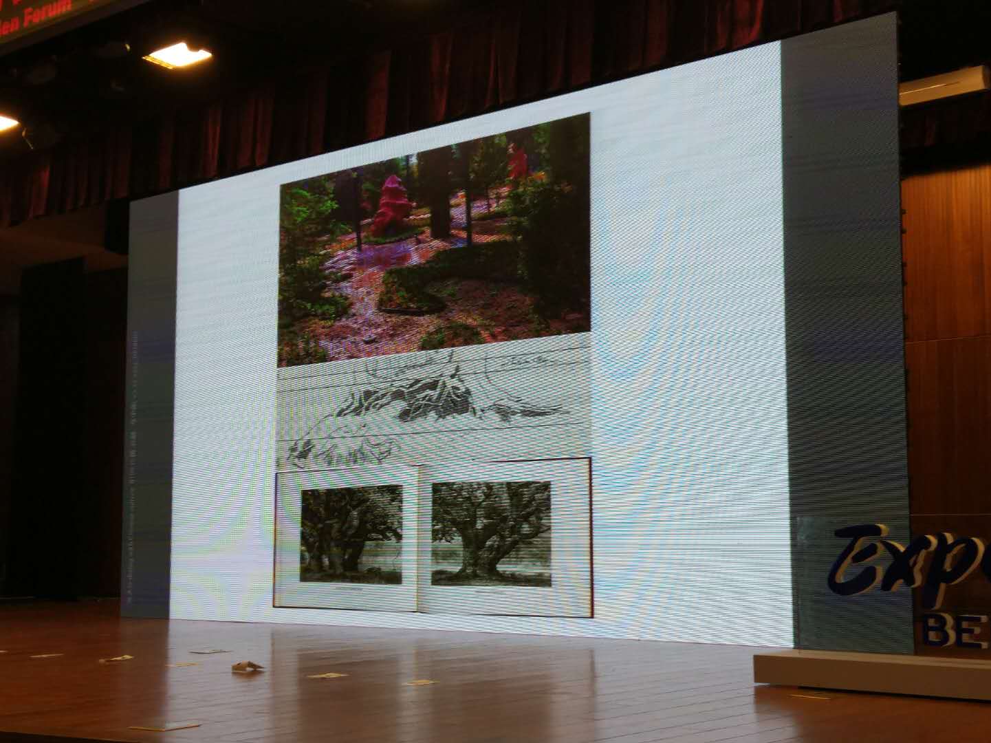 北京園藝博覽會國外設(shè)計師創(chuàng)意展園論壇舉辦