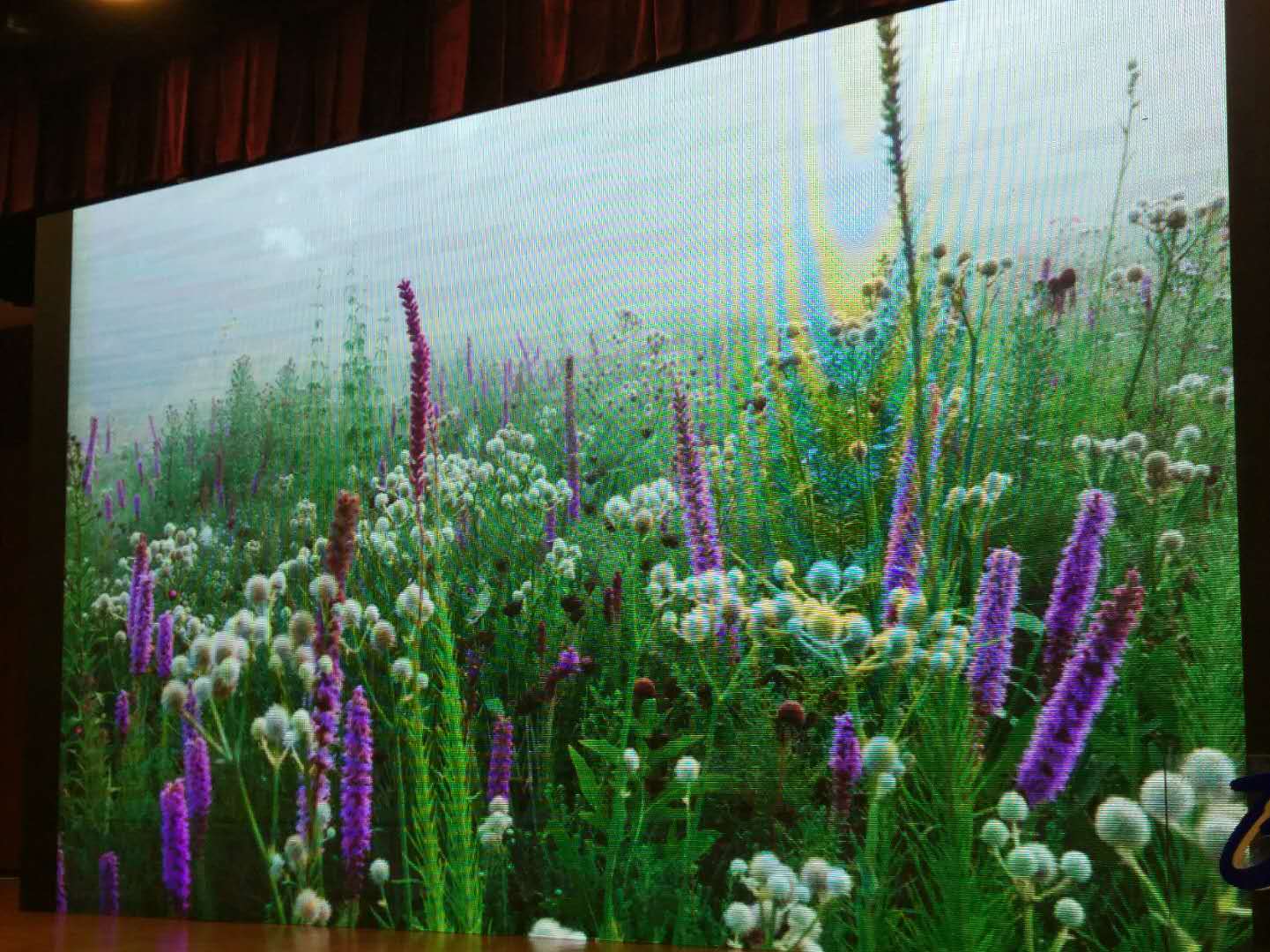 北京園藝博覽會國外設(shè)計師創(chuàng)意展園論壇舉辦