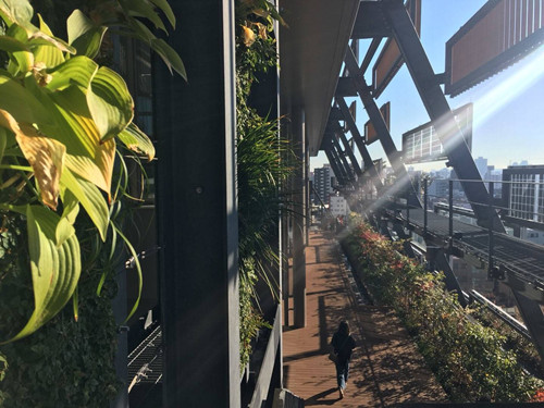 日本景觀考察:與隈研吾、戶田芳樹大師對話