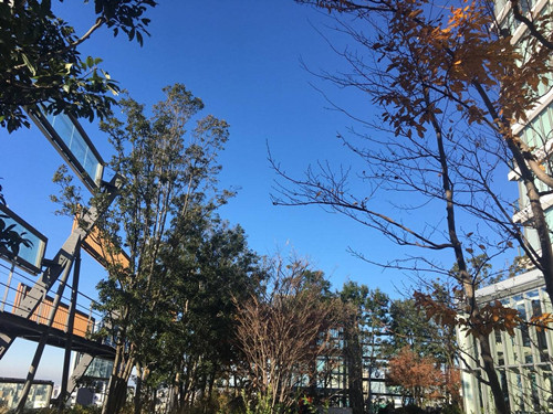 日本景觀考察:與隈研吾、戶田芳樹大師對話