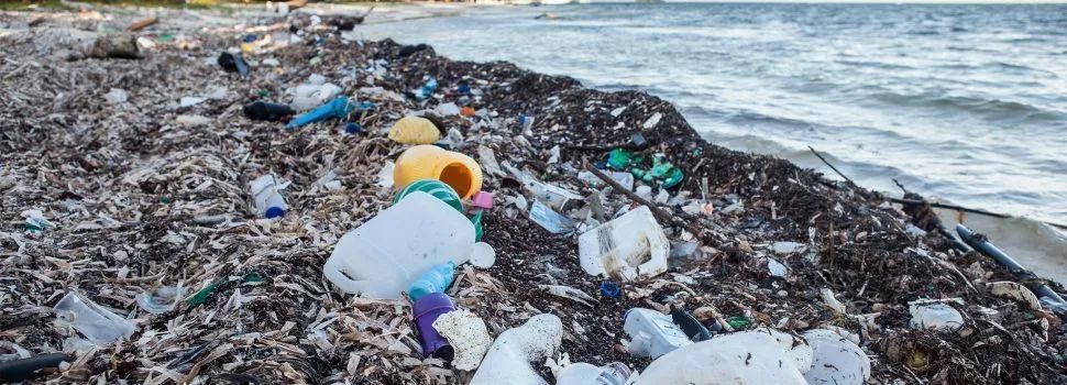 世界自然遺產的島嶼上堆積了3.8億個垃圾廢品