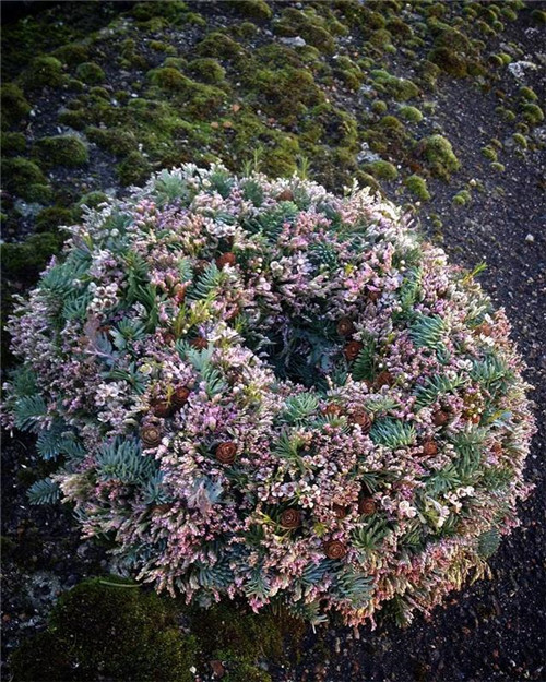 花藝的魅力：花環設計