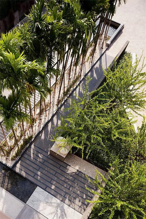 TROP作品:芭堤雅希爾頓酒店景觀設(shè)計