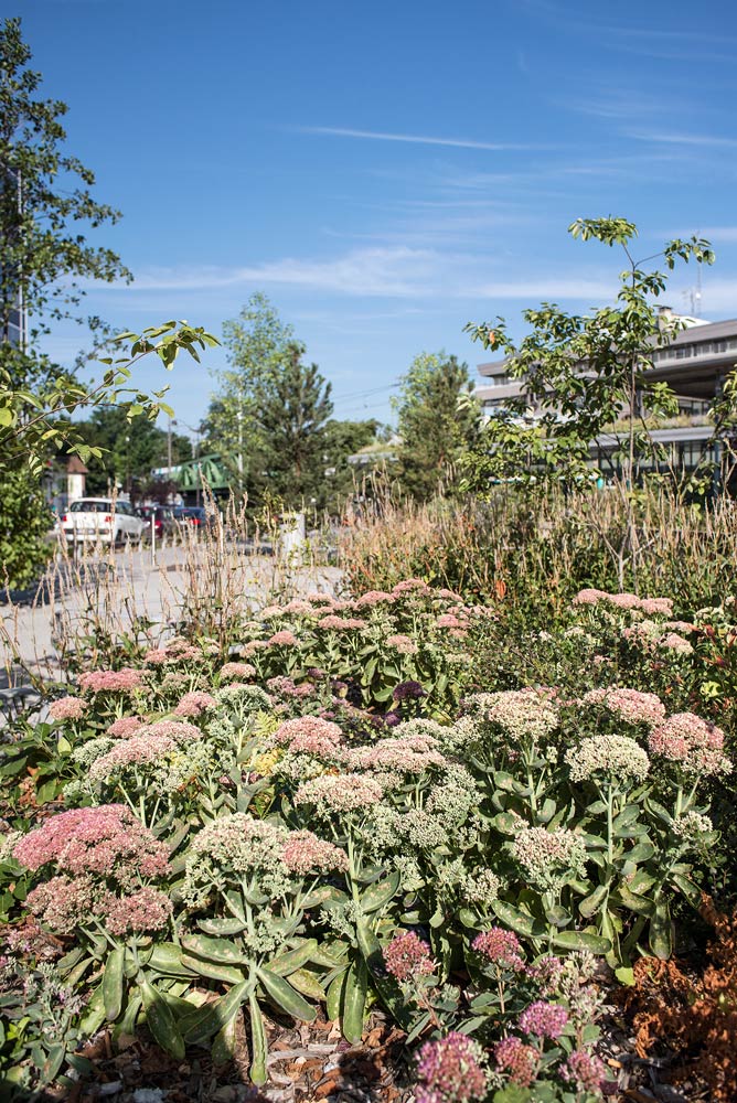 多模式交通樞紐的公共空間設(shè)計(jì)