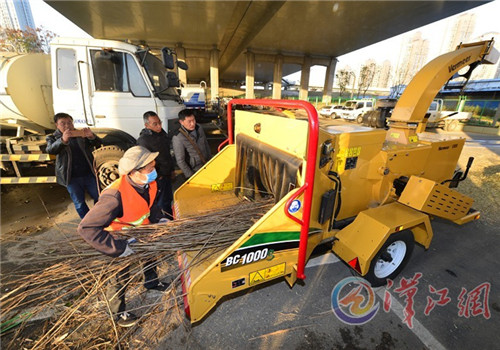 湖北襄陽：園林局引進樹枝粉碎機