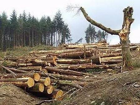 保持生物多樣性 守護(hù)逐漸消失的生物樂園