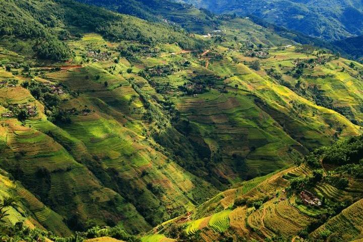 保持生物多樣性 守護(hù)逐漸消失的生物樂園