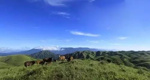 江西又有三個(gè)國(guó)家公園入選“中國(guó)森林氧吧”