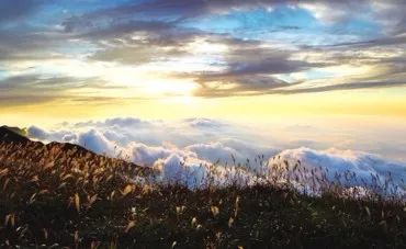 江西又有三個(gè)國(guó)家公園入選“中國(guó)森林氧吧”