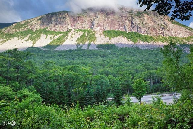 森林之都，住在這里就像住在公園一樣