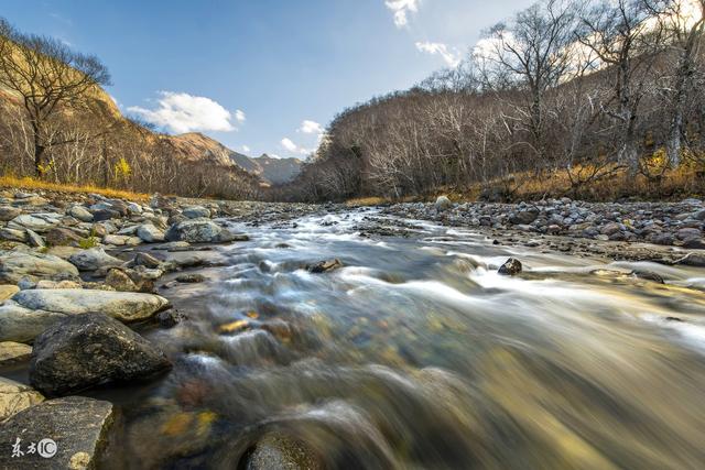 森林之都，住在這里就像住在公園一樣