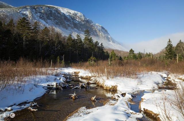 森林之都，住在這里就像住在公園一樣