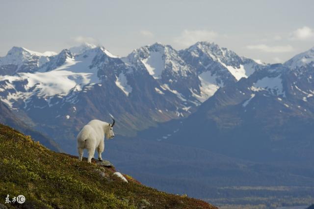 森林之都，住在這里就像住在公園一樣