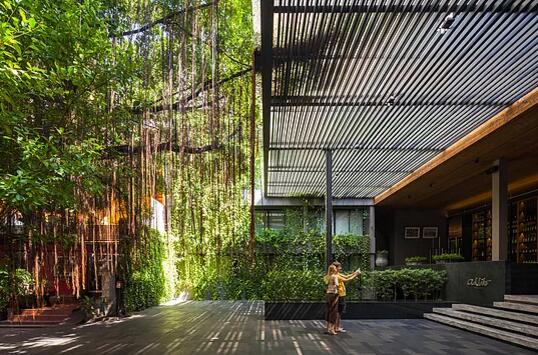 泰國曼谷Ad lib酒店景觀設計