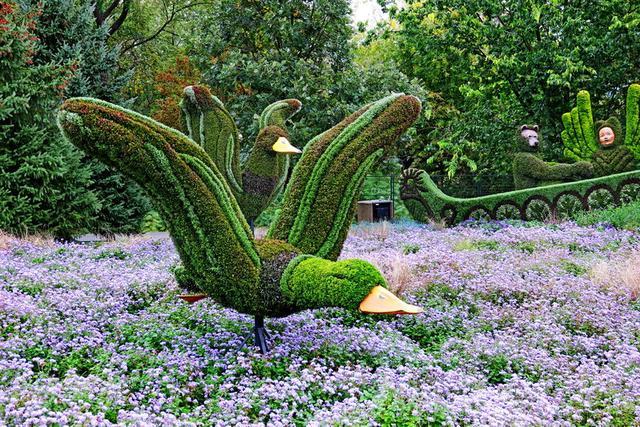 加拿大渥太華植物雕塑作品展，中國作品歡迎