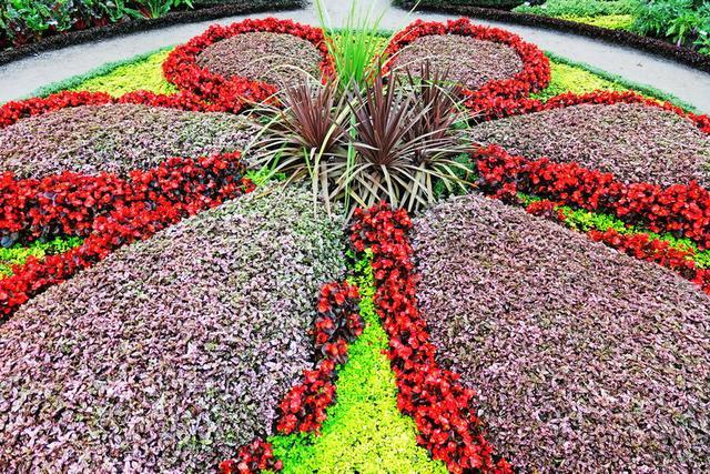 加拿大渥太華植物雕塑作品展，中國作品歡迎