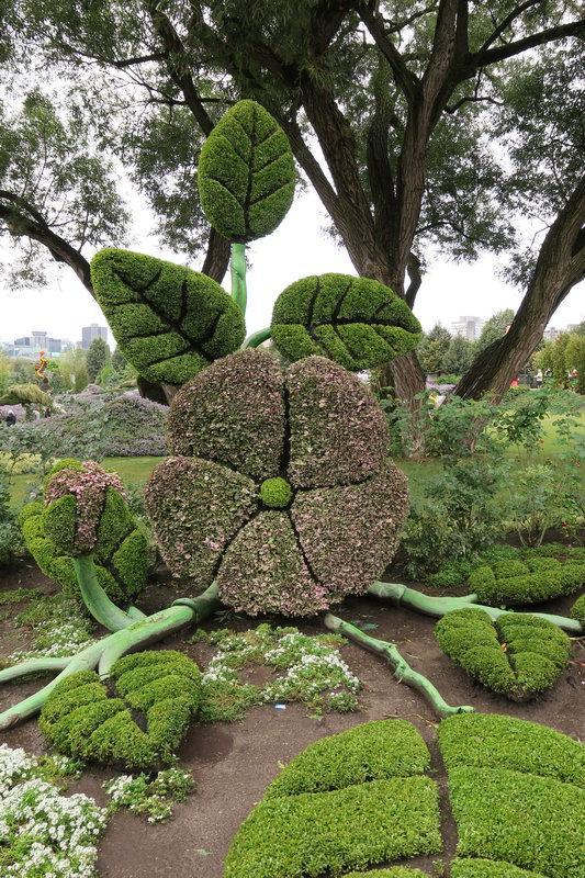 加拿大渥太華植物雕塑作品展，中國作品歡迎