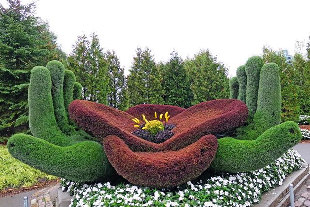 加拿大渥太華植物雕塑作品展，中國作品歡迎