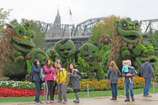 加拿大渥太華植物雕塑作品展，中國作品歡迎