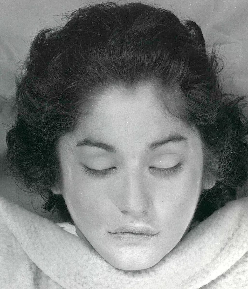 植物可以協助破案？