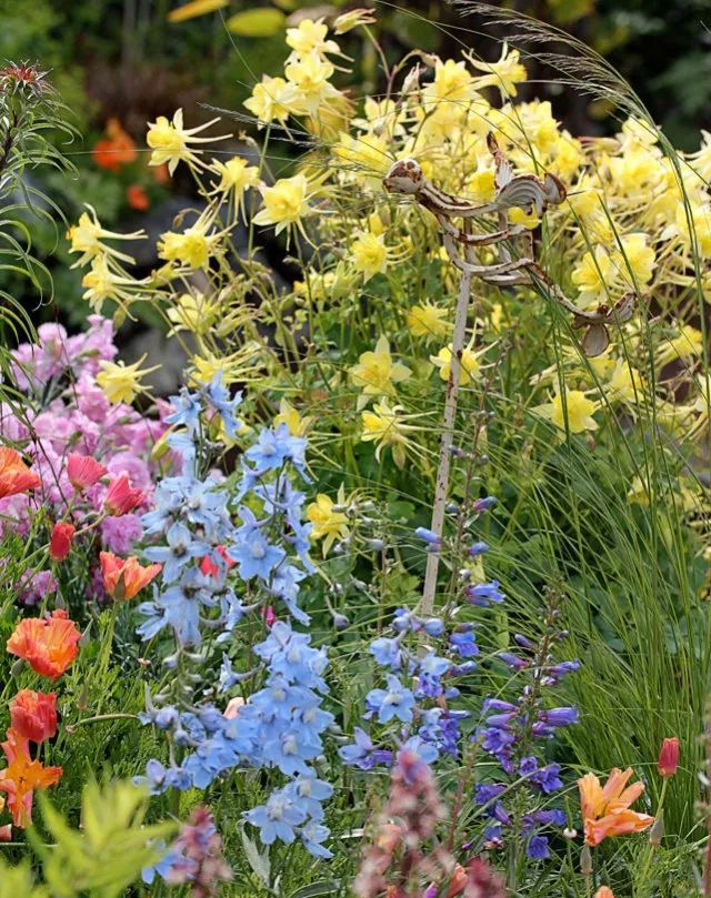 混合花境設(shè)計(jì)與種植建議