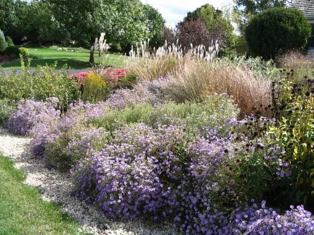 混合花境設(shè)計(jì)與種植建議